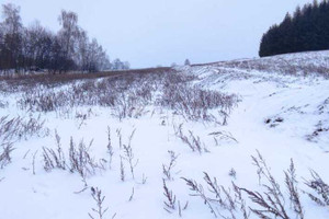 Działka na sprzedaż 1102m2 kłodzki Nowa Ruda Dzikowiec - zdjęcie 3