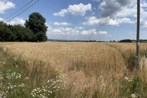 Działka na sprzedaż 3029m2 olkuski Wolbrom Lgota Wielka - zdjęcie 2