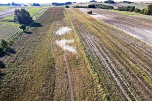 Działka na sprzedaż 26000m2 olkuski Wolbrom Wierzchowisko - zdjęcie 2