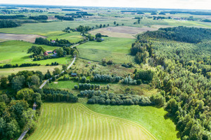 Działka na sprzedaż 3687m2 ełcki Kalinowo Golubie - zdjęcie 3