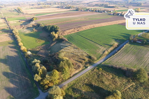 Działka na sprzedaż 3300m2 proszowicki Koszyce Książnice Wielkie - zdjęcie 1