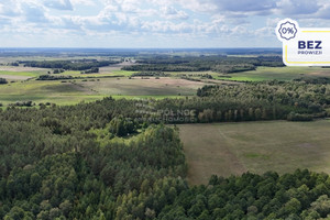 Działka na sprzedaż 118093m2 grajewski Rajgród Pieńczykowo - zdjęcie 1