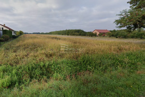 Działka na sprzedaż 11900m2 buski Stopnica Białoborze - zdjęcie 2