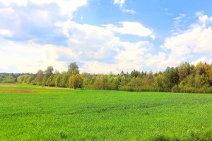 Działka na sprzedaż 3043m2 szczycieński Dźwierzuty Targowo - zdjęcie 3