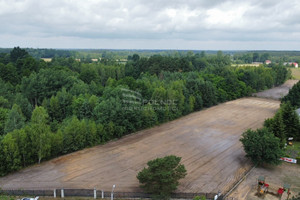 Działka na sprzedaż 5998m2 miński Stanisławów Porąb - zdjęcie 3