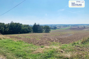 Działka na sprzedaż 1400m2 olkuski Wolbrom Kąpiele Wielkie - zdjęcie 4