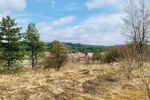 Działka na sprzedaż 8217m2 olkuski Klucze Kwaśniów Górny Hucisko - zdjęcie 2