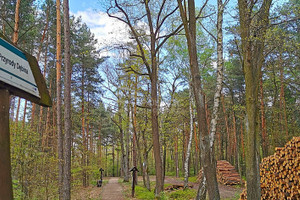 Działka na sprzedaż 589m2 wołomiński Klembów Ostrówek Warszawska - zdjęcie 3