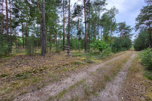 Działka na sprzedaż 16356m2 wołomiński Radzymin Rżyska - zdjęcie 3