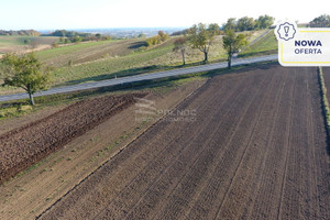 Działka na sprzedaż 1600m2 proszowicki Koszyce Książnice Wielkie - zdjęcie 1