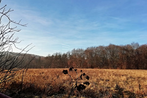 Działka na sprzedaż 9700m2 krakowski Krzeszowice Nawojowa Góra - zdjęcie 2