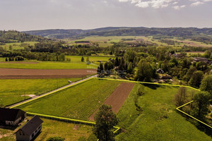 Działka na sprzedaż 18167m2 kłodzki Międzylesie Domaszków - zdjęcie 2