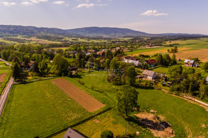 Działka na sprzedaż 18167m2 kłodzki Międzylesie Domaszków - zdjęcie 3