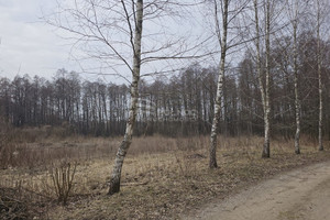 Działka na sprzedaż 3000m2 olecki Świętajno Rogojny - zdjęcie 3