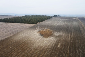 Działka na sprzedaż olkuski Trzyciąż Imbramowice - zdjęcie 2