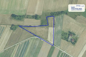 Działka na sprzedaż 11290m2 miechowski Charsznica Podlesice - zdjęcie 3