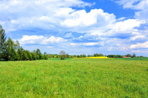 Działka na sprzedaż 3043m2 szczycieński Dźwierzuty Targowo - zdjęcie 2