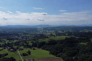 Działka na sprzedaż 4017m2 bocheński Bochnia Pogwizdów - zdjęcie 3