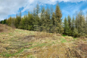 Działka na sprzedaż 8217m2 olkuski Klucze Kwaśniów Górny Hucisko - zdjęcie 4