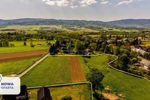 Działka na sprzedaż 18167m2 kłodzki Międzylesie Domaszków - zdjęcie 1