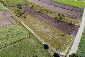 Działka na sprzedaż 3154m2 brzeziński Rogów Mroga Górna - zdjęcie 3