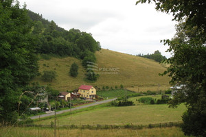 Działka na sprzedaż 3000m2 kłodzki Nowa Ruda Nowa Wieś Kłodzka - zdjęcie 2