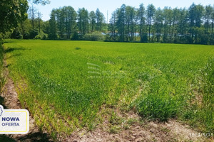 Działka na sprzedaż 13000m2 lubelski Jastków Józefów-Pociecha - zdjęcie 1