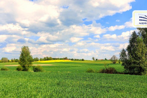 Działka na sprzedaż 3043m2 szczycieński Dźwierzuty Targowo - zdjęcie 1