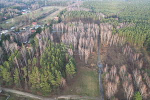 Działka na sprzedaż 1520m2 piaseczyński Tarczyn Księżak Echa Leśne - zdjęcie 2