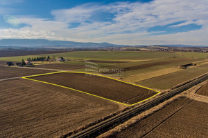 Działka na sprzedaż 7300m2 kłodzki Kłodzko Żelazno - zdjęcie 2