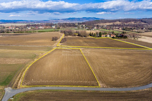 Działka na sprzedaż 7300m2 kłodzki Kłodzko Żelazno - zdjęcie 3