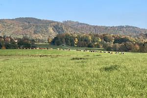 Działka na sprzedaż 2000m2 karkonoski Janowice Wielkie - zdjęcie 2