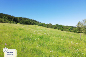 Działka na sprzedaż 120427m2 karkonoski Jeżów Sudecki Chrośnica - zdjęcie 1