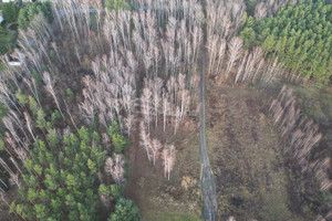 Działka na sprzedaż 4554m2 piaseczyński Tarczyn Księżak Echa Leśne - zdjęcie 3