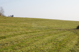 Działka na sprzedaż kłodzki Nowa Ruda Bożków - zdjęcie 2