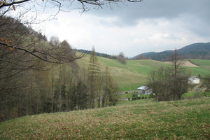 Działka na sprzedaż 3000m2 kłodzki Nowa Ruda Nowa Wieś Kłodzka - zdjęcie 3