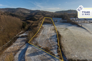 Działka na sprzedaż 41000m2 kłodzki Kłodzko Wojciechowice - zdjęcie 1