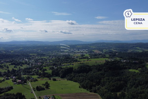 Działka na sprzedaż 4017m2 bocheński Bochnia Pogwizdów - zdjęcie 1