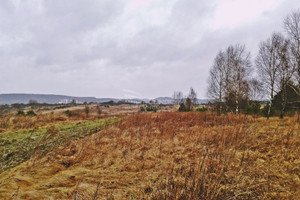 Działka na sprzedaż 4200m2 olkuski Klucze Bydlin - zdjęcie 1