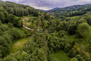 Działka na sprzedaż 8742m2 kłodzki Lądek-Zdrój Konradów - zdjęcie 3