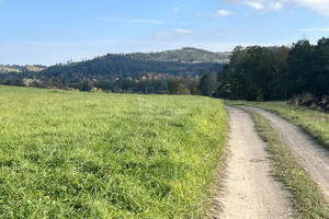 Działka na sprzedaż 2000m2 karkonoski Janowice Wielkie - zdjęcie 3