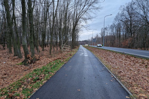 Działka na sprzedaż raciborski Racibórz Rybnicka - zdjęcie 3