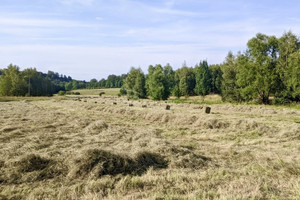 Działka na sprzedaż lubański Świeradów-Zdrój Długa - zdjęcie 3