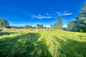 Działka na sprzedaż 1248m2 karkonoski Mysłakowice Kostrzyca - zdjęcie 3