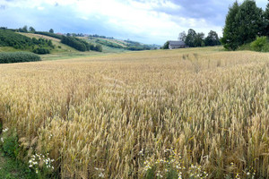 Działka na sprzedaż 4830m2 miechowski Charsznica Podlesice - zdjęcie 1