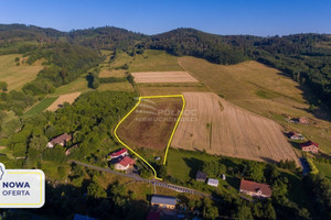 Działka na sprzedaż 12600m2 kłodzki Kłodzko Wojciechowice - zdjęcie 1