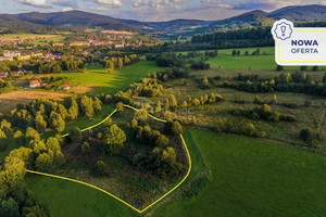 Działka na sprzedaż 12000m2 kłodzki Stronie Śląskie Strachocin - zdjęcie 1