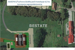 Działka na sprzedaż 42700m2 tarnowski Tuchów Burzyn - zdjęcie 1