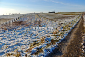 Działka na sprzedaż 6462m2 tarnowski Tuchów Karwodrza - zdjęcie 1