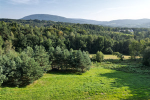 Działka na sprzedaż 4800m2 myślenicki Myślenice Łęki - zdjęcie 3